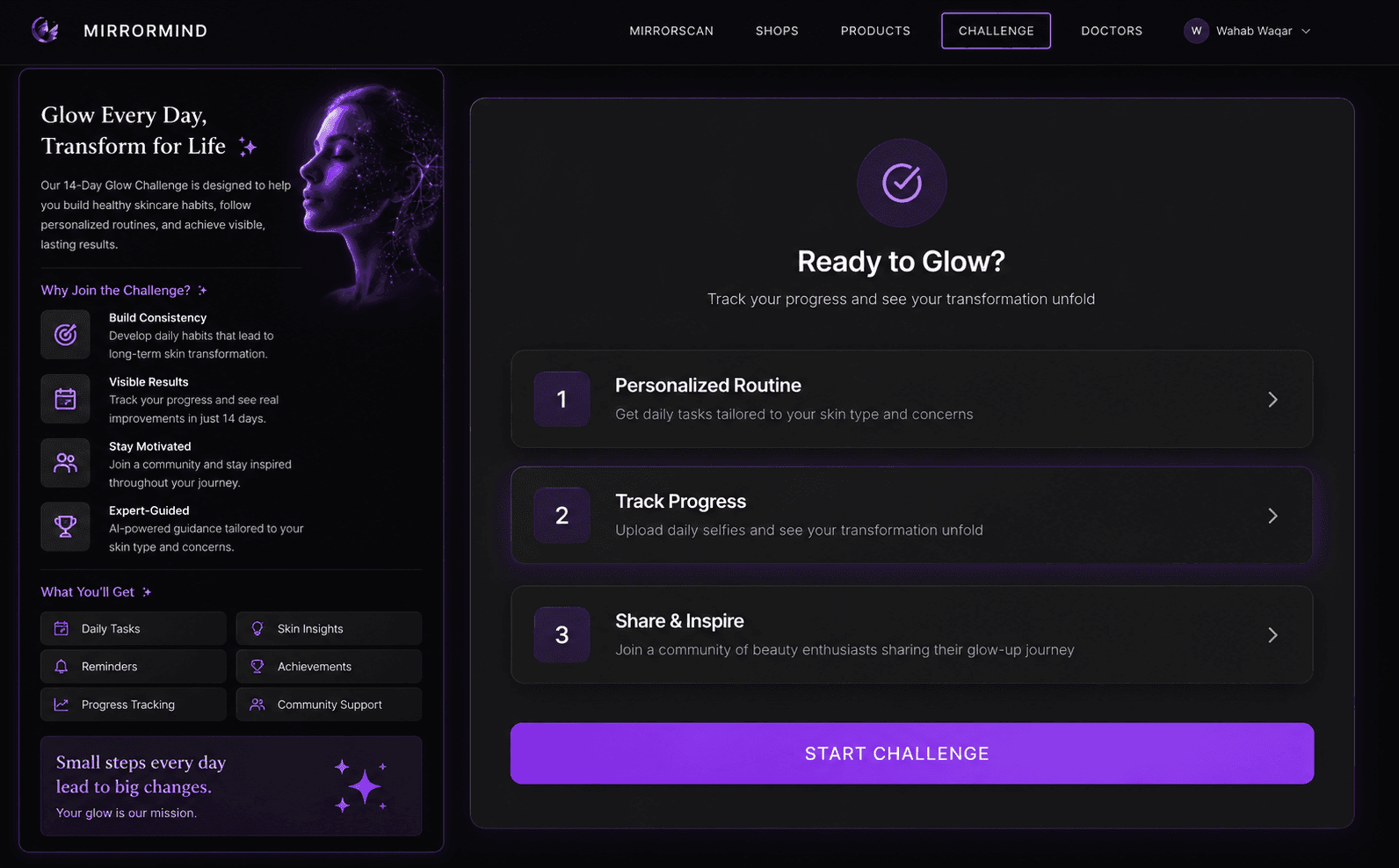 MirrorMind challenge overview